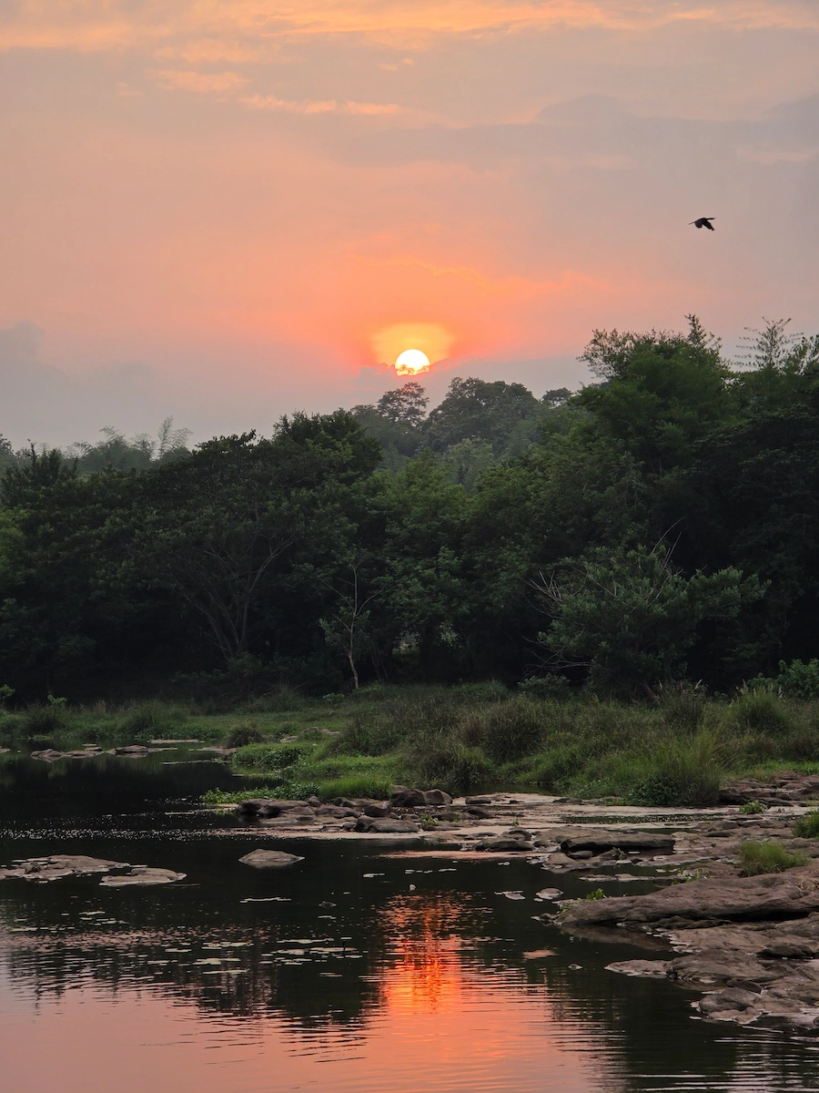Landscape Photo 3