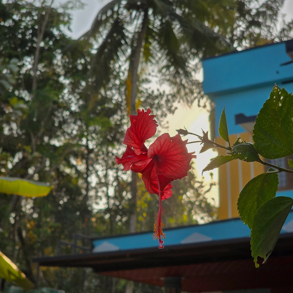 Landscape Photo 6