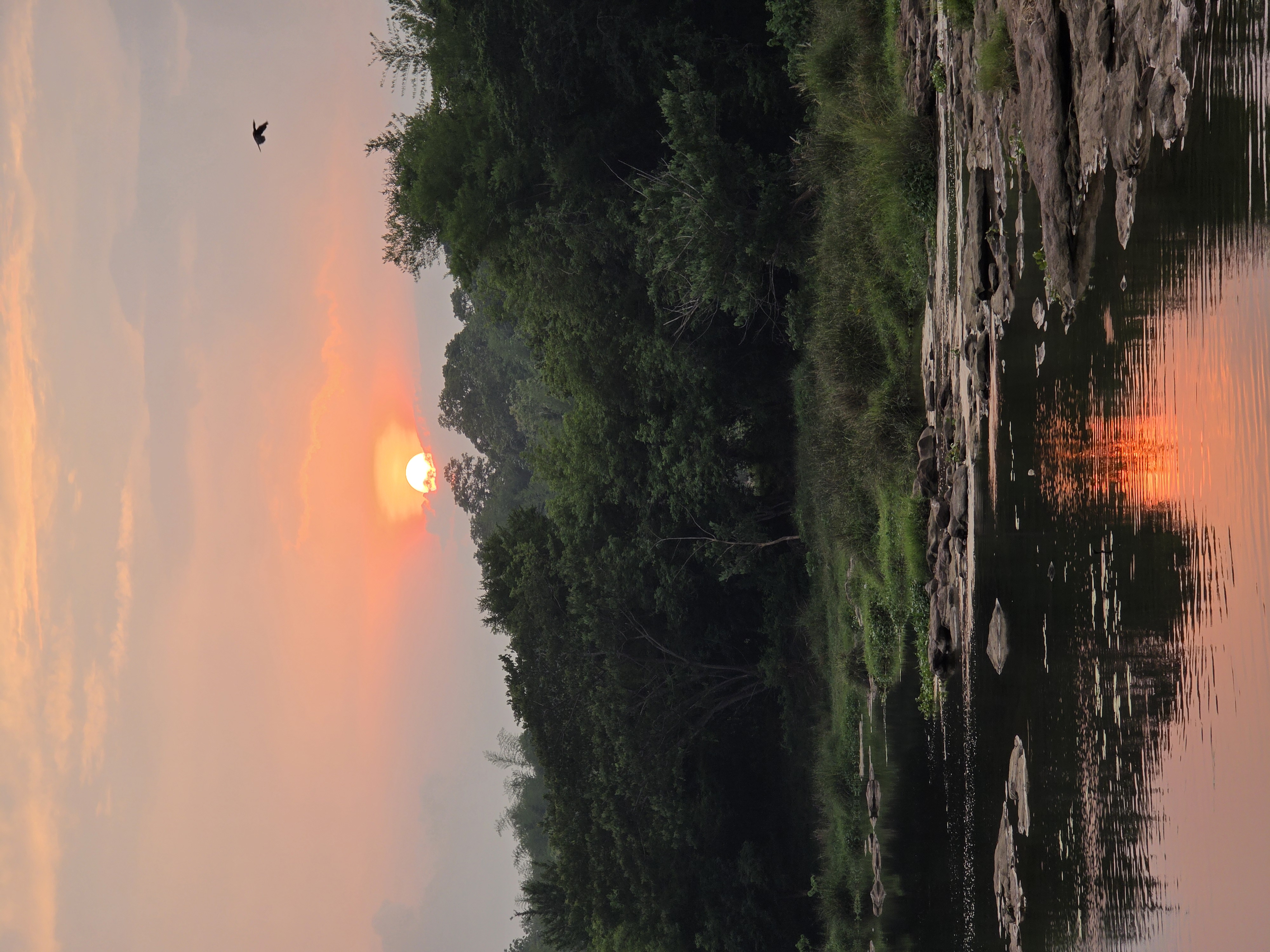 Landscape Photo 3